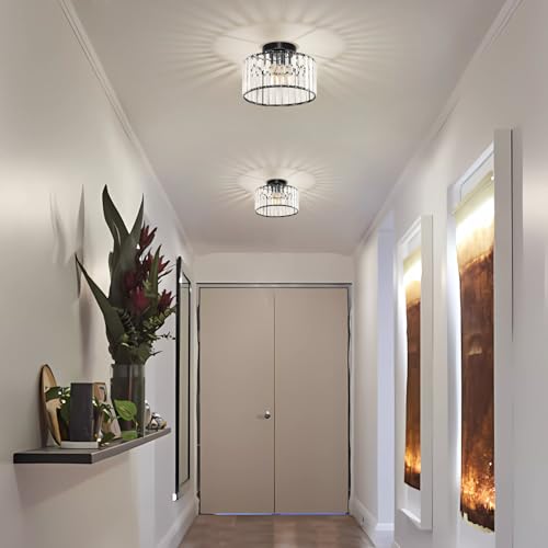 Modern Ceiling Light