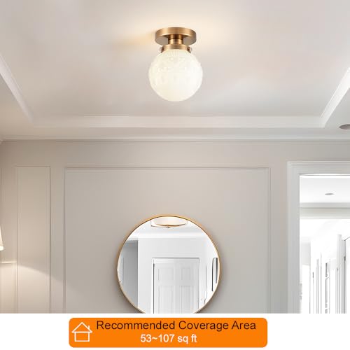 Semi Flush Mount Ceiling Light