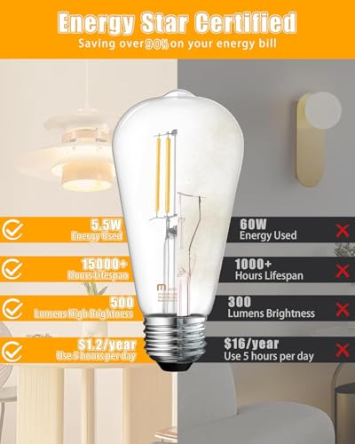 24 Pack Vintage LED Edison Bulbs (24 Count)