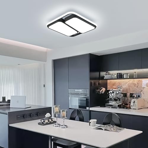 Modern LED Ceiling Light Fixture
