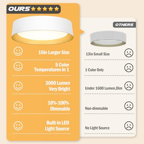 Flush Mount Ceiling Light