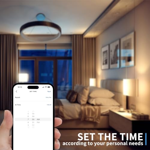 Smart Plug in Dimmer