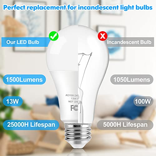 LED Light Bulbs (20 Count)