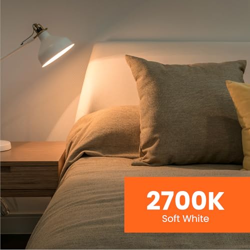 A19 LED Light Bulbs (8 Count)