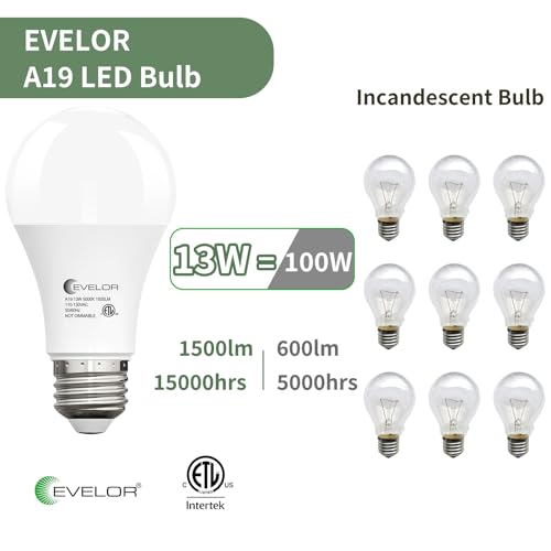 A19 LED Light Bulbs (24 Count)