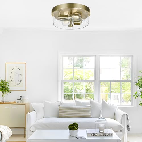 Flush Mount Ceiling Light Fixtures