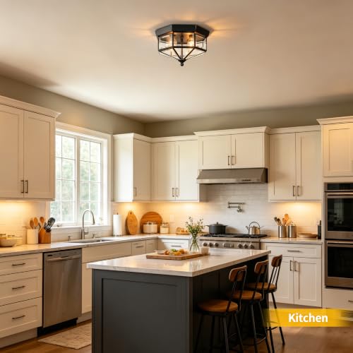 Flush Mount Outdoor Ceiling Light Fixture