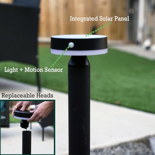 Solar Landscape Lights (4 Count)