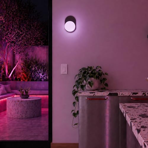 Smart Dimmer Switch