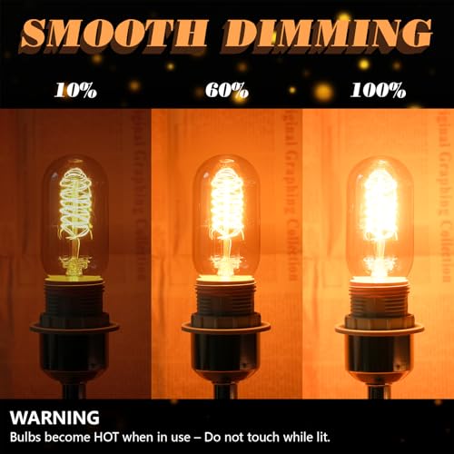 8 Pack Vintage Edison Light Bulbs 60W (8 Count)