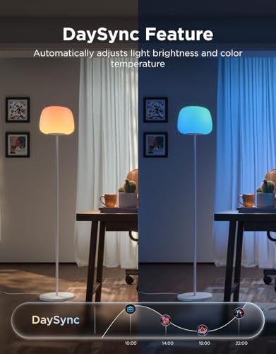 Lantern Floor Lamp