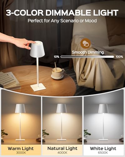 Cordless Lamp DIY Height (2 Count)