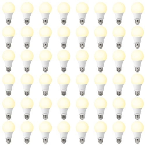 A19 LED Light Bulbs (48 Count)