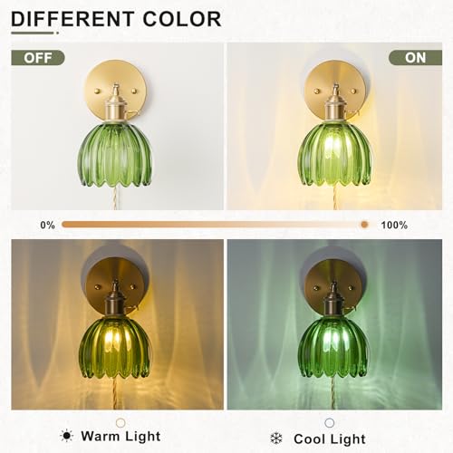 Plug in Wall Sconce