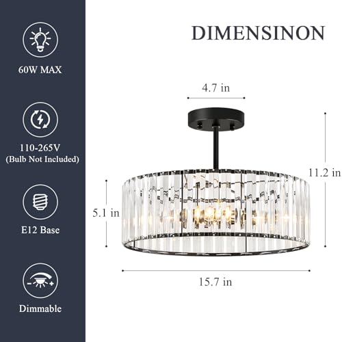 Crystal Black Ceiling Light
