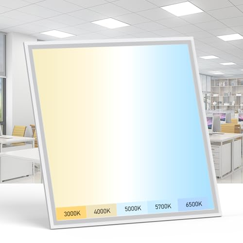 1 Pack 2x2 LED Flat Panel Light