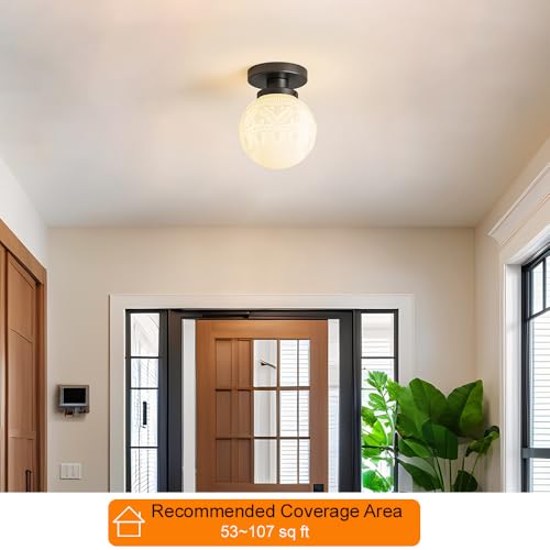Semi Flush Mount Ceiling Light