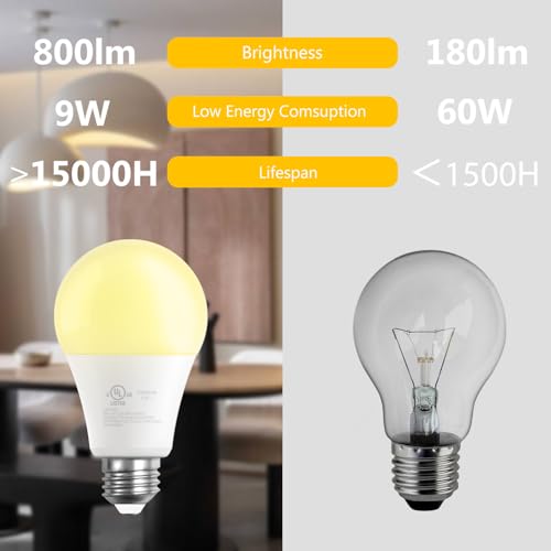 A19 LED Light Bulbs (24 Count)