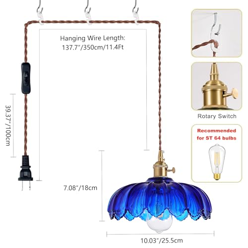 Plug in Pendant Light