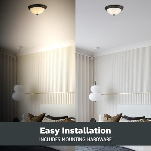 Flush Mount Ceiling Light (2 Count)