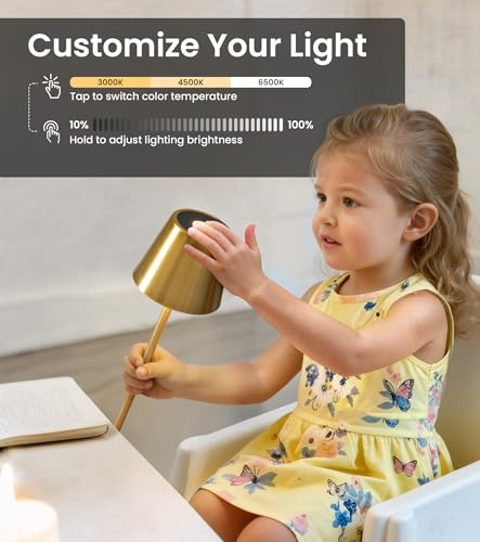Cordless Table Lamp