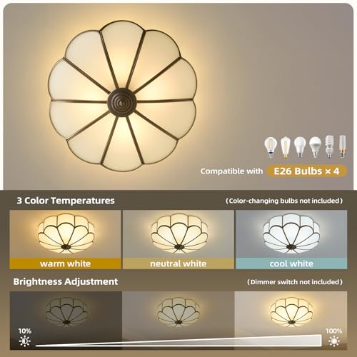 Vintage Bronze Ceiling Light