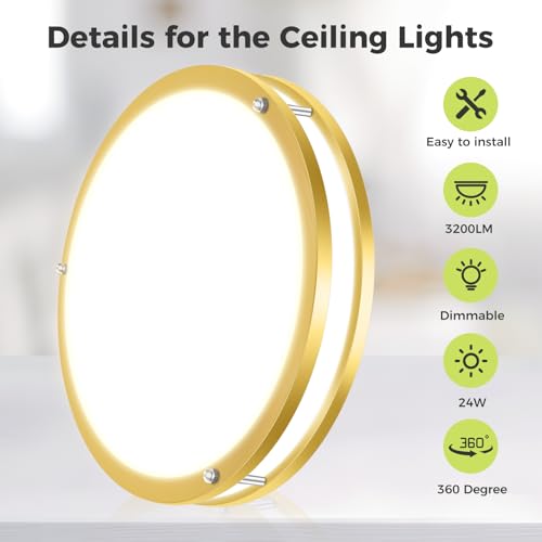 1 Pack Flush Mount Ceiling Light Fixture