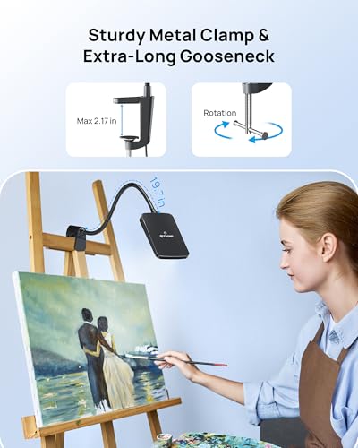 LED Desk Lamp with Clamp