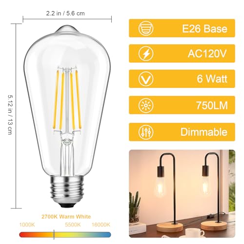 Vintage LED Edison Bulbs 60W Equivalent (12 Count)