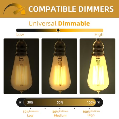 4 Pack Edison Light Bulb 60 Watt Dimmable ST58 Vintage Warm Bulb (4 Count)