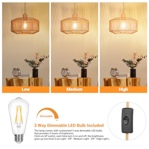 Boho Plug in Pendant Light