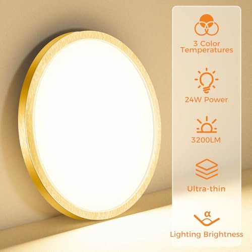 LED Flush Mount Ceiling Light Fixture