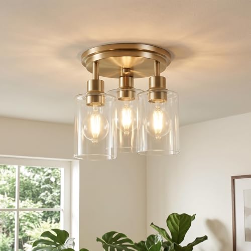 Semi Flush Mount Ceiling Light