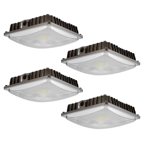 LED Canopy Lights (4 Count)