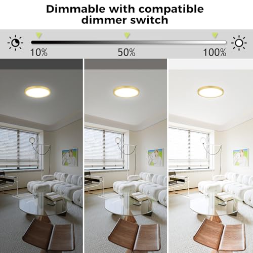 2Pack LED Flush Mount Ceiling Light Fixture Golden