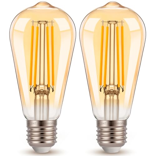 ST19 Dusk to Dawn LED Edison Bulb (2 Count)