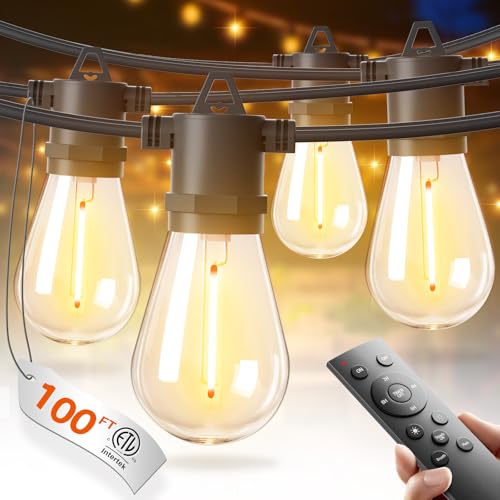 100FT LED Outdoor String Lights (100 Foot)
