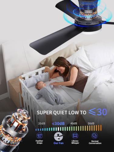 42 Inch Black Low Profile Ceiling Fan with Light and Remote (Black-3 / 42 Inch)