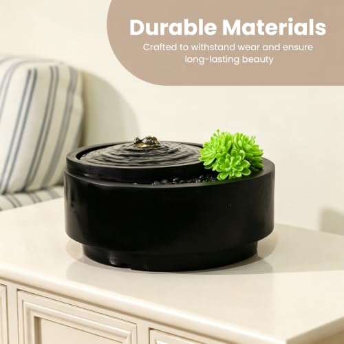 Table Fountain Indoor Water Zen Garden Decor with Succulent Plant