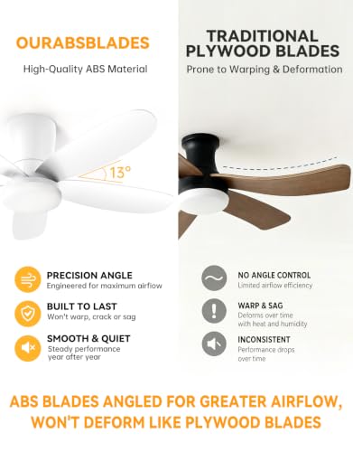 Ceiling Fans with Lights