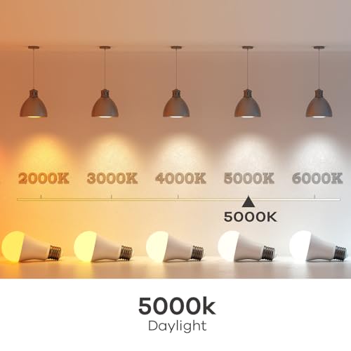 A19 LED Light Bulbs (12 Count)