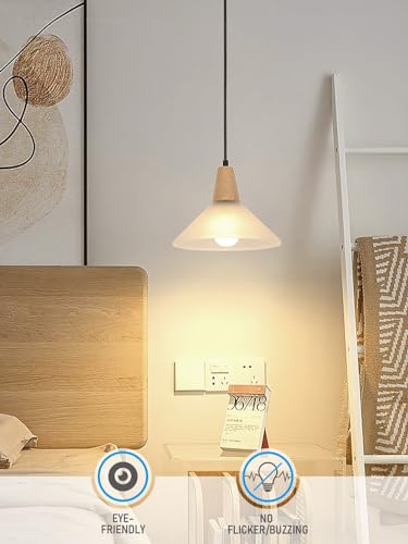 6 Pack A19 LED Light Bulb 60W Equivalent (6 Count)