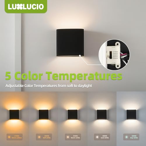 2 Pack Indoor Outdoor Black Up and Down LED Wall Light (2 Count)