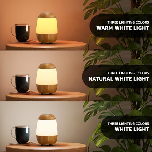 2 Pack Rechargeable Small Night Light Touch Dimmable Cordless Lamp