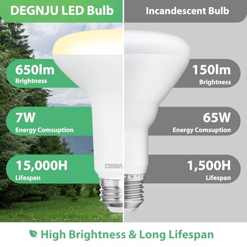 24 Pack Indoor Flood Light Bulbs (24 Count)