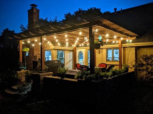 Ambience Pro LED Outdoor String Lights (48 Foot)