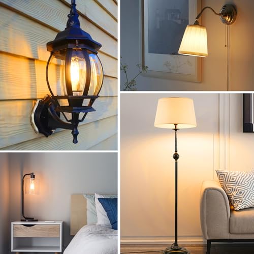 Edison Bulbs E26 LED Bulb 60 Watt Equivalent