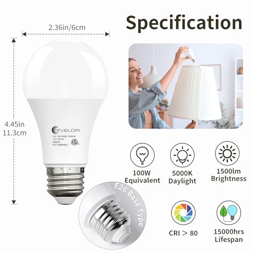 A19 LED Light Bulbs (4 Count)