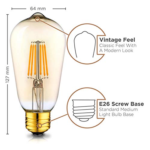 Hudson Vintage LED Edison 6W Bulb Set (6 Count)