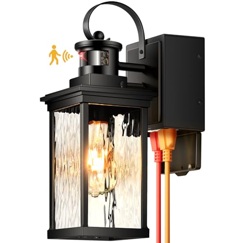 Outdoor Porch Light with Outlet